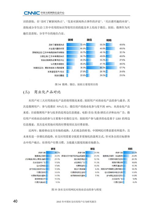 2015年中国社交应用用户行为研究报告 互联网数据服务的演进与启示